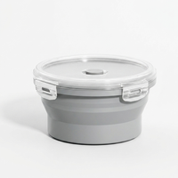 Collapsible Food Storage Containers for Space Saving with Silicone Design
